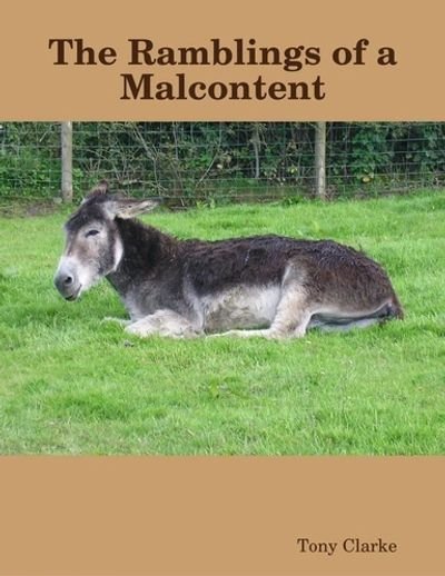 The cover to my ebook featuring a despondent looking donkey.